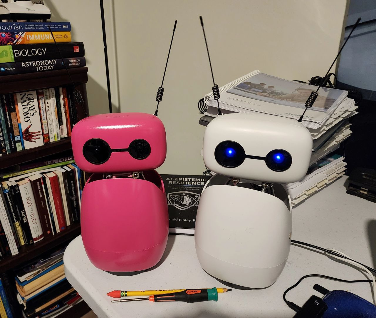 Reachy Mini robots